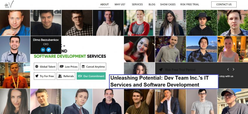 Unleashing Potential Dev Team Inc.'s IT Services and Software Development