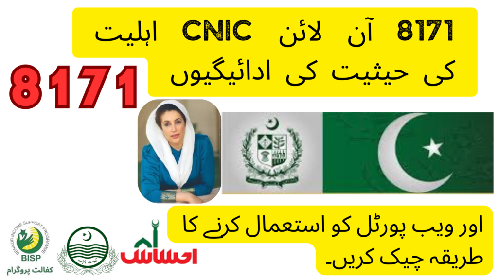 8171 Check Online CNIC Eligibility Status Payments & How to Use the Web Portal