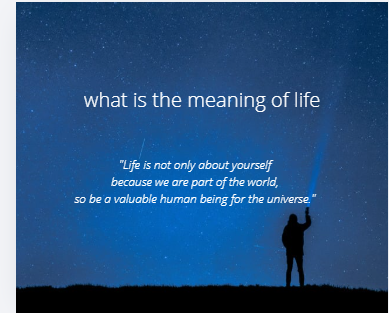 What is the meaning of life
