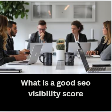 what is a good seo visibility score