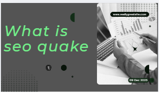 What is seo quake