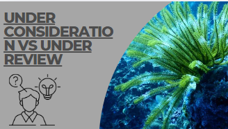 Under consideration vs under review