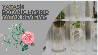 YatasÌ§ botanic hybrid yatak reviews