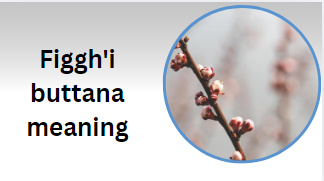 Figgh'i buttana meaning