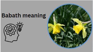Babath meaning
