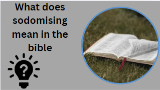 What does sodomising mean in the bible