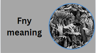 Fny meaning