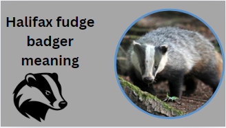 Halifax fudge badger meaning