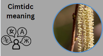 Cimtidc meaning