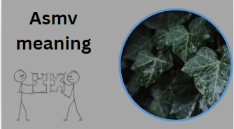 Asmv meaning