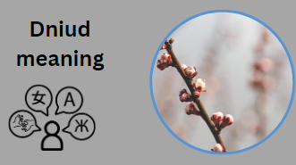 Dniud meaning
