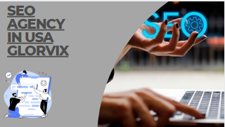 Seo agency in usa glorvix