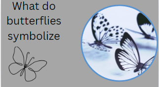 What do butterflies symbolize