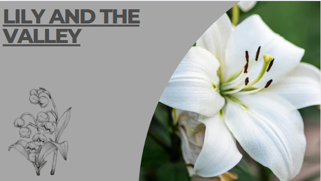 lily and the valley