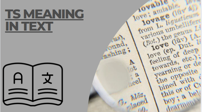 Ts meaning in text